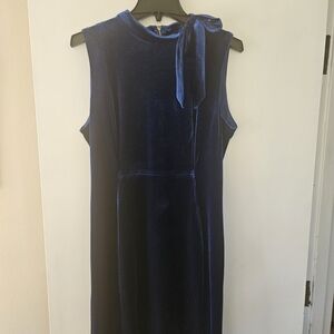 Calvin Klein Velvet  Dress in Rich Blue